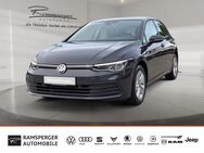 VW Golf, 1.5 VIII eTSI Life APP, Jahr 2020 - Kirchheim (Teck)