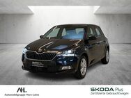 Skoda Fabia, 1.0 TSI Soleil, Jahr 2019 - Einbeck