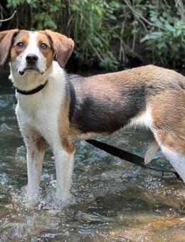 Pünktchen - Weilmünster