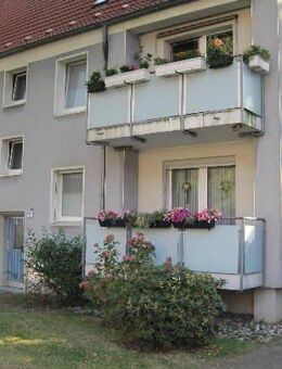 Zögern Sie nicht: tolle 2,5 Raum Wohnung mit großer Küche, Tageslichbad + Balkon! - Essen