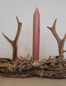 Boho Natur Deko modern Geweih Baumrinde Trockenblumen Jagd - Duisburg