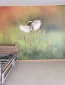 Burmeier Regia (Pflegebett) in 68789