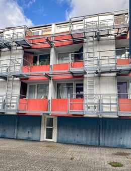 Kapitalanleger auf Safari - Köln