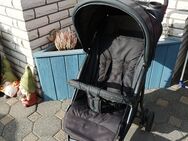 * Hauck Buggy Kinderwagen schwarz* - Lohmar