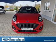 Ford Puma, ST-Line X iACC, Jahr 2020 - Glauchau