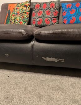 3 Sitzer Sofa von Hoeffner - Ronnenberg