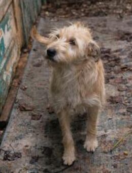 256641 - Familie klingt wie Glücksmoment - Overath