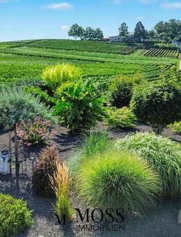 Zwischen Weinbergen im Kaiserstuhl - Ihr Traumhaus mit Gartenparadies und Panoramablick - Vogtsburg (Kaiserstuhl)