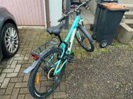 Fahrrad Mädchen - Bad Krozingen