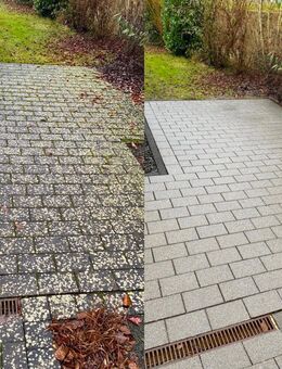 Steinreinigung zum fairen Preis - Welver