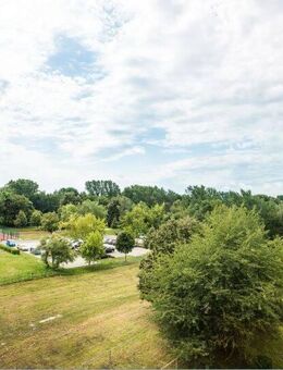 1 Zimmer Mietwohnung in Senftenberg Tolle 1 Zimmerwohnung am Senftenberger See - sofort verfügbar - Senftenberg