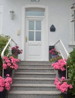 Möbliertes 1-Zimmer Apartment - Nähe Kurpark - Bad Kissingen