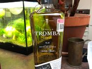 Tromba Tequila - Flörsheim (Main)