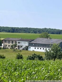 RARITÄT AUF DEM IMMOBILIENMARKT: Repräsentativer Landsitz mit 3,7 Hektar - Mulfingen