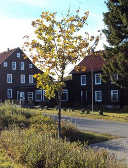 TOP Investment - Braunlage