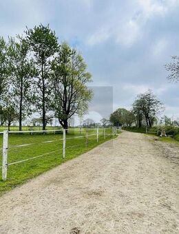 RESTHOF AM REITERHOF - Oldersbek
