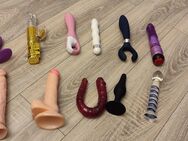 Getragene Unterwäsche mit Dildo benutzt - Wernigerode