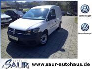 VW Caddy, 1.2 TSI Kasten Plus-Paket, Jahr 2019 - Bernau (Chiemsee)