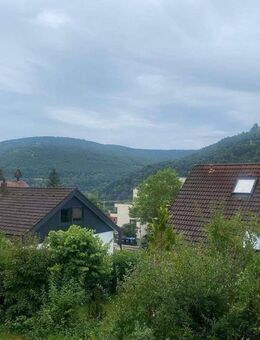 1 Zimmer, fantastischer Ausblick, riesiger Südwestbalkon und Tiefgaragenstellplatz - Bad Urach