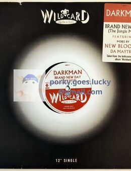 Darkman – Brand New Day (The Jungle Mixes) 1995 Promo 12" Vinyl Drum n Bass, Jungle - München Bogenhausen