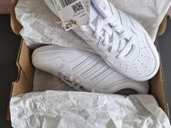 Adidas Hoops Basketball Schuhe Gr. 38 Damen weiß Neu - Bad Bederkesa