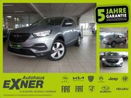 Opel Grandland X 1.6 Turbo Hybrid ELEGANCE Navi. LED - Hof