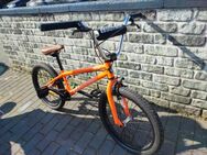 BMX Rad Eastern Lowdown - Viersen