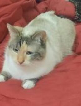 Adelheit die Sanftmütige - München