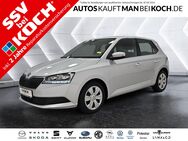 Skoda Fabia, 1.0 TSI Cool Plus eFH2x 1te Hand, Jahr 2021 - Neuruppin