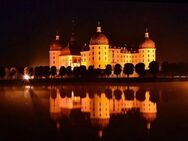 Er sucht Sie - Dresden