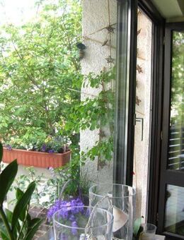 ruhige gut geschnittene 2-Zi.Wohnung ,mit kleiner Wohnküche inkl. EBK , Balkon und TG in Laim - München