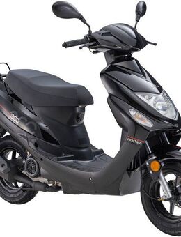 Luxxon Motorroller ECO (45km/h), 50 ccm, City-Roller, EFI, 50 ccm, 45 km/h, Euro 5, Kraftstoffeinspritzung (EFI), Lenkerschloss, Staufach, Roller, Scooter