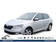 Skoda Fabia, 1.0 TSI Drive 125 110PS, Jahr 2020 - Friedberg (Hessen)