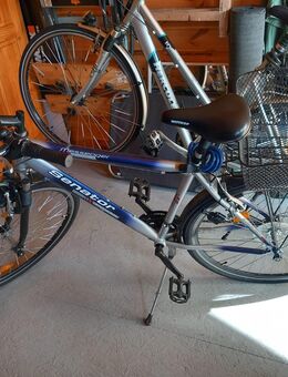 Herrenrad, blau, neuwertig - Rhauderfehn