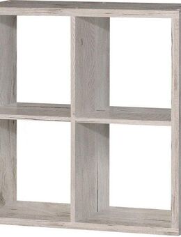 FORTE Standregal Mauro