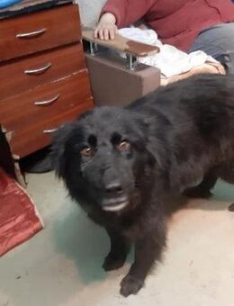 Nataschka - Mönchengladbach