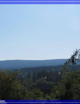 Herrliche 2-Zimmerwohnung in Altenau mit tollem Blick - Altenau Zentrum