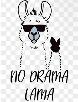 Reinders! Poster No Drama Lama, (1 St)