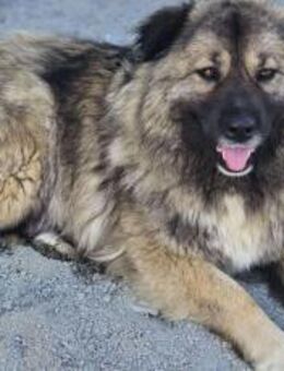 zaghafte Maddy möchte dein Herz erobern - München