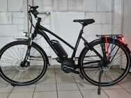 E-Bike PANTHER RIVOLI 28"Zoll Bosch Mittelmotor und 400Wh 11Ah 36V Akku.Sehr guter zustand wie Neu. - Marl (Nordrhein-Westfalen)