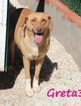 Greta3 wünscht sich Geborgenheit 5/19 GR - Ruppertsecken