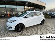 Renault ZOE, EXPERIENCE R1 E 50 inkl Batterie TOP, Jahr 2021 - Braunschweig