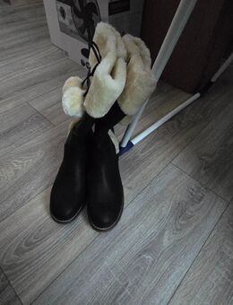 Verkaufe Damenstiefel - Greifswald