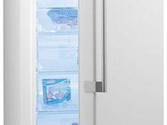 BAUKNECHT Gefrierschrank GKN 2173 A3+ (2), 175,0 cm hoch, 71,0 cm breit