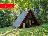 Diese Ferienimmobilie bietet Erholung, eingebettet im Wald des Feriendorfes am Twistesee - Bad Arolsen