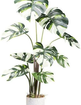 Künstliche Zimmerpflanze Monstera Variegata Grünpflanze, Creativ green, Höhe 100 cm, mit außergewöhnlichem Blattwerk
