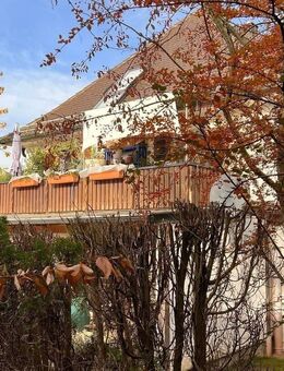 ZUHAUSE ANKOMMEN: DREIFAMILIENHAUS MIT HALLE UND WEITEREM (BAU) GRUNDSTÜCK - Oberhausen (Landkreis Neuburg-Schrobenhausen)