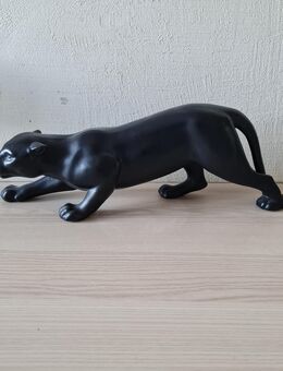 Panther schleichend - Frankfurt (Main) Bockenheim
