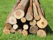 Fichten- /Douglasienholz zur rustikalen Deko, zum Basteln, Heimwerken, Gartengestaltung - Neuenrade