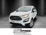 Ford EcoSport, 1.0 EcoBoost Trend el SP Multif Lenkrad Lederlenkrad, Jahr 2020 - Weinheim
